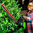 Кусторез  Greenworks GD60HT, 60V, 61 см, бесщеточный, без АКБ и ЗУ