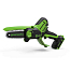 Мини-пила цепная Greenworks G24MCS10, 24V, 10 см, щеточная, с АКБ 2 А.ч и ЗУ