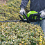 Кусторез  Greenworks GD60HT, 60V, 61 см, бесщеточный, без АКБ и ЗУ