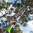 Высоторез/Сучкорез аккумуляторный Greenworks G24PS20, 24V, 20 см, без АКБ и ЗУ