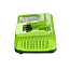 Зарядное устройство Greenworks G24C8, 24V, 8А